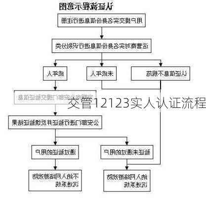 交管12123实人认证流程