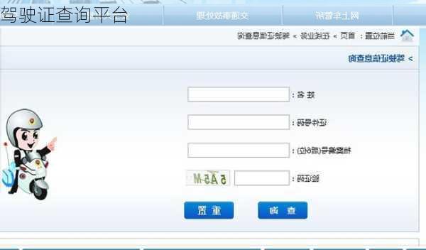 驾驶证查询平台