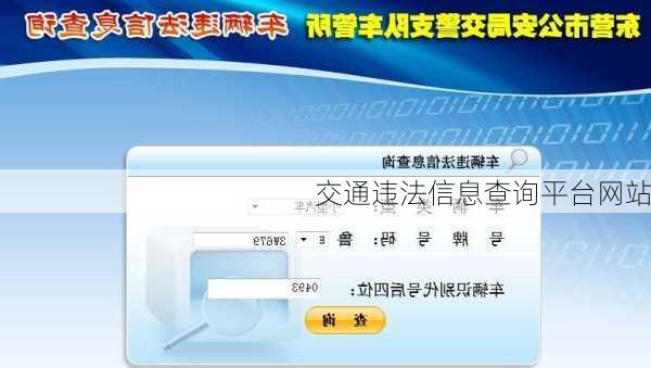 交通违法信息查询平台网站