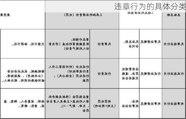 违章行为的具体分类