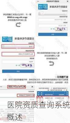 医院资质查询系统概述