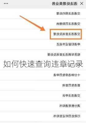 如何快速查询违章记录