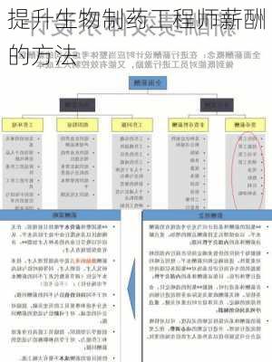 提升生物制药工程师薪酬的方法