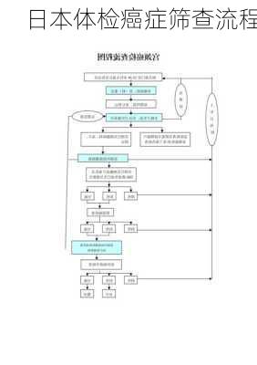 日本体检癌症筛查流程