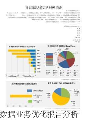 数据业务优化报告分析