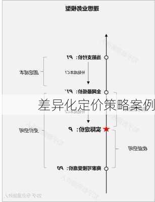 差异化定价策略案例