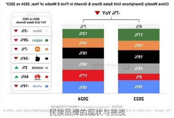 民族品牌的现状与挑战