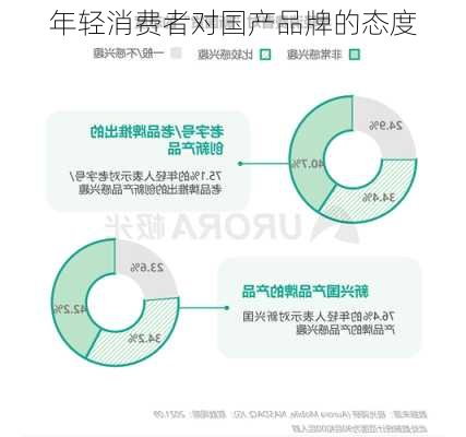 年轻消费者对国产品牌的态度