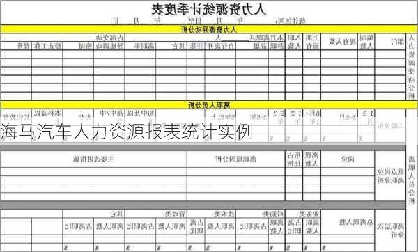 海马汽车人力资源报表统计实例