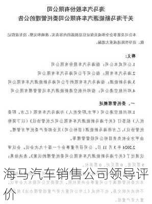 海马汽车销售公司领导评价