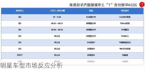 明星车型市场反应分析