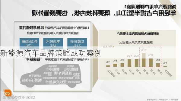 新能源汽车品牌策略成功案例