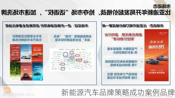 新能源汽车品牌策略成功案例品牌