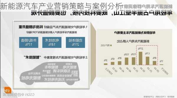 新能源汽车产业营销策略与案例分析