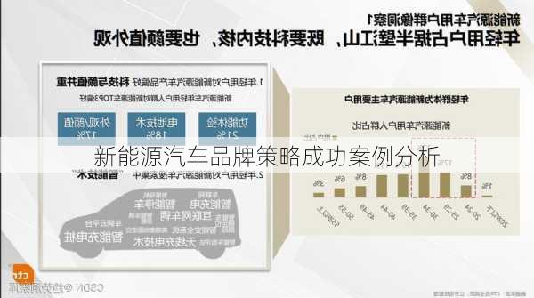 新能源汽车品牌策略成功案例分析