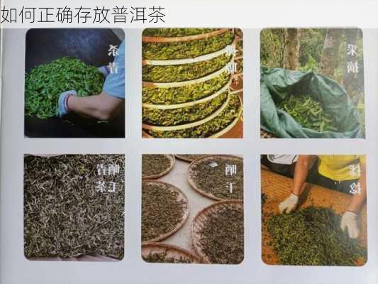 如何正确存放普洱茶