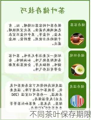 不同茶叶保存期限