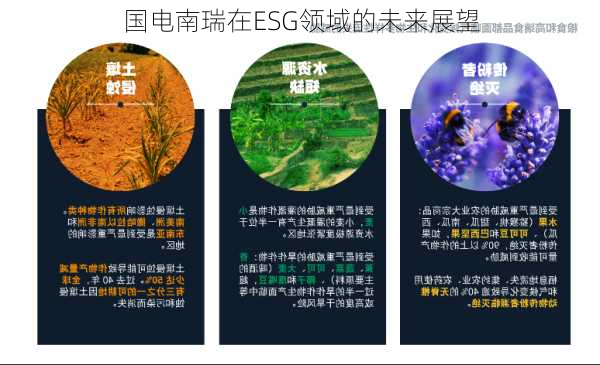 国电南瑞在ESG领域的未来展望