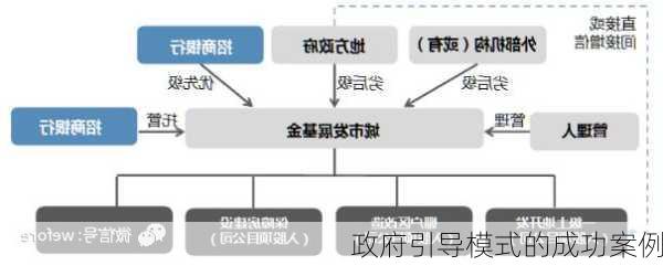 政府引导模式的成功案例