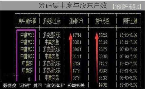 筹码集中度与股东户数