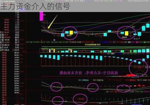 主力资金介入的信号