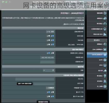 网卡设备的高级选项应用案例