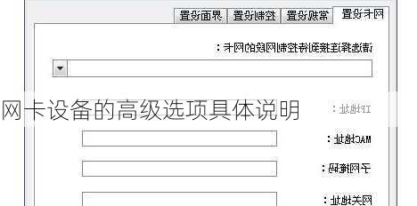 网卡设备的高级选项具体说明