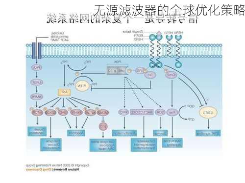 无源滤波器的全球优化策略