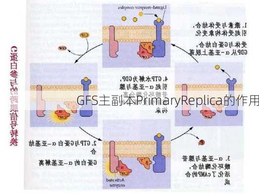 GFS主副本PrimaryReplica的作用