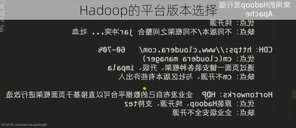 Hadoop的平台版本选择