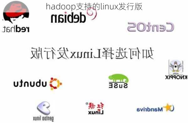 hadoop支持的linux发行版