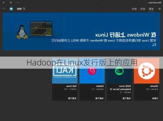 Hadoop在Linux发行版上的应用