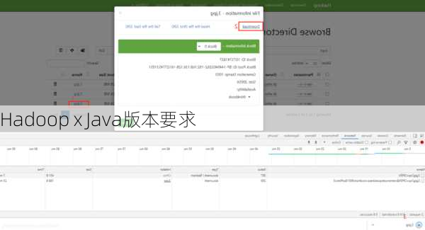 Hadoop x Java版本要求