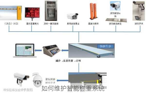 如何维护智能称重系统