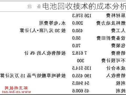 电池回收技术的成本分析