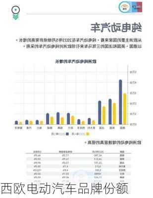 西欧电动汽车品牌份额