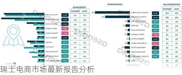 瑞士电商市场最新报告分析