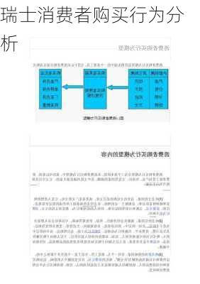 瑞士消费者购买行为分析