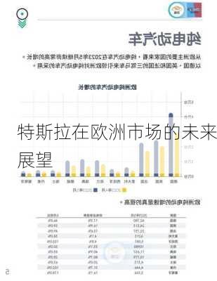 特斯拉在欧洲市场的未来展望