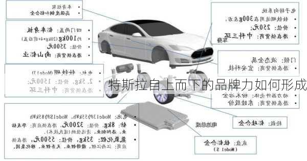 特斯拉自上而下的品牌力如何形成