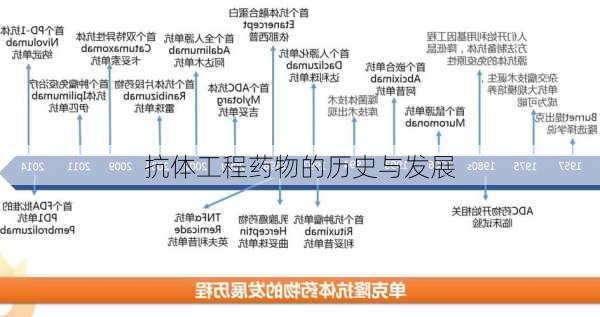 抗体工程药物的历史与发展