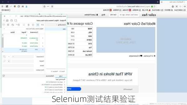 Selenium测试结果验证