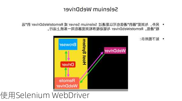 使用Selenium WebDriver