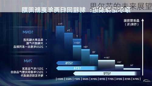 思尔芯的未来展望