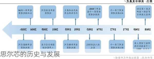 思尔芯的历史与发展