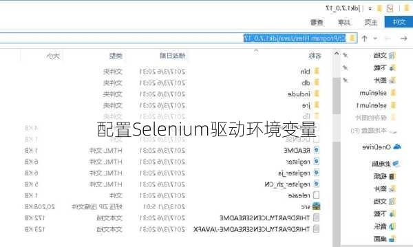 配置Selenium驱动环境变量