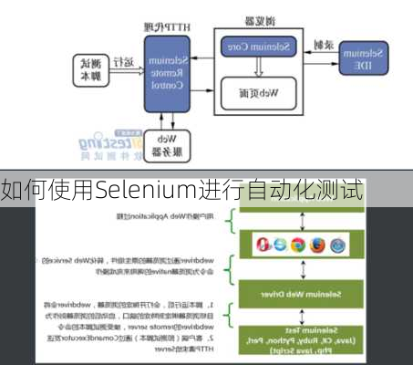 如何使用Selenium进行自动化测试