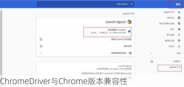 ChromeDriver与Chrome版本兼容性