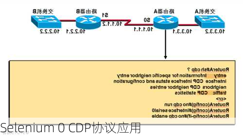 Selenium 0 CDP协议应用