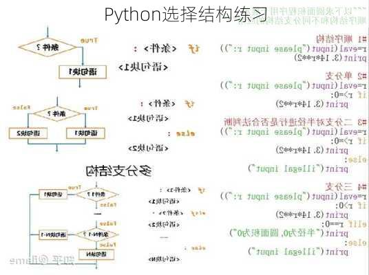 Python选择结构练习